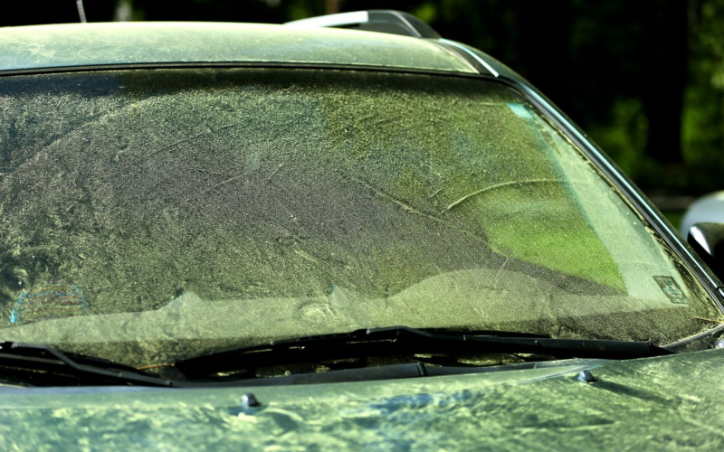 Pollen on the Car