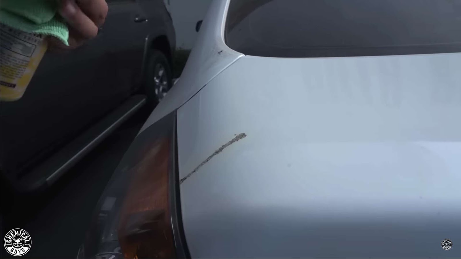 Process of easily remove tree sap from car